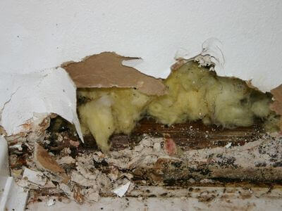 About Fort Lauderdale Water Damage Restoration - water damage restoration experts in Fort Lauderdale
