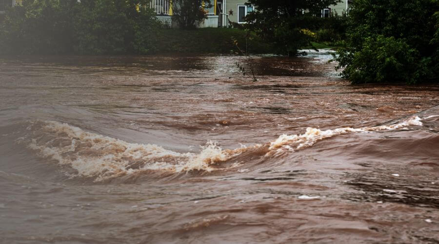 Why choose Fort Lauderdale Water Damage Restoration for water damage restoration in Fort Lauderdale